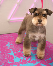 Load image into Gallery viewer, PawMat Anti-Fatigue Reversible Table Mat - Nathan Austin Collaboration (36"x24")