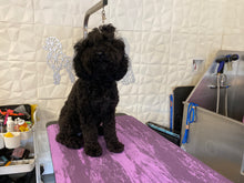 Load image into Gallery viewer, PawMat Anti-Fatigue Reversible Table Mat - Monochromatic Blue/Purple