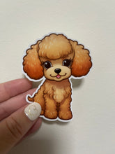 Load image into Gallery viewer, Apricot Poodle