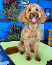 Load image into Gallery viewer, PawMat Anti-Fatigue Reversible Table Mat (Lime Green/Purple)