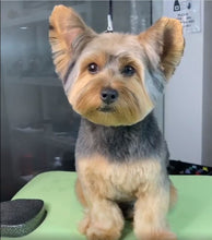 Load image into Gallery viewer, PawMat Anti-Fatigue Reversible Table Mat (Lime Green/Purple)