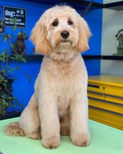 Load image into Gallery viewer, PawMat Anti-Fatigue Reversible Table Mat (Lime Green/Purple)