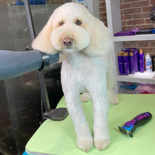 Load image into Gallery viewer, PawMat Anti-Fatigue Reversible Table Mat (Lime Green/Purple)