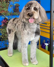 Load image into Gallery viewer, PawMat Anti-Fatigue Reversible Table Mat (Lime Green/Purple)