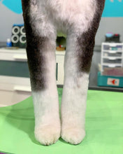 Load image into Gallery viewer, PawMat Anti-Fatigue Reversible Table Mat (Lime Green/Purple)