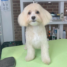 Load image into Gallery viewer, PawMat Anti-Fatigue Reversible Table Mat (Lime Green/Purple)