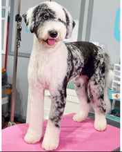 Load image into Gallery viewer, PawMat Anti-Fatigue Reversible Table Mat (Pink/Teal)