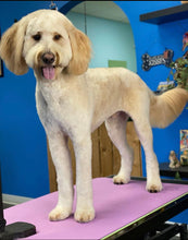 Load image into Gallery viewer, PawMat Anti-Fatigue Reversible Table Mat (Lime Green/Purple)