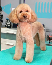 Load image into Gallery viewer, PawMat Anti-Fatigue Reversible Table Mat (Pink/Teal)