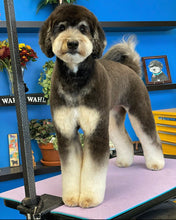 Load image into Gallery viewer, PawMat Anti-Fatigue Reversible Table Mat (Blue/Lavender)