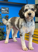 Load image into Gallery viewer, PawMat Anti-Fatigue Reversible Table Mat (Lime Green/Purple)