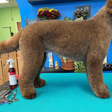 Load image into Gallery viewer, PawMat Anti-Fatigue Reversible Table Mat (Blue/Lavender)