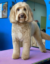 Load image into Gallery viewer, PawMat Anti-Fatigue Reversible Table Mat (Lime Green/Purple)