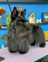 Load image into Gallery viewer, PawMat Anti-Fatigue Reversible Table Mat (Blue/Lavender)