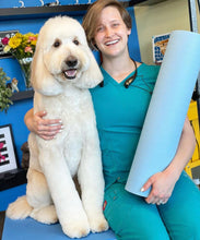 Load image into Gallery viewer, PawMat Anti-Fatigue Reversible Table Mat - Anna Stowell Collaboration (48”x24”)