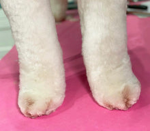 Load image into Gallery viewer, PawMat Anti-Fatigue Reversible Table Mat (Pink/Teal)