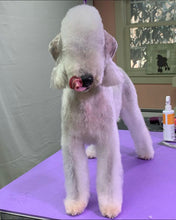 Load image into Gallery viewer, PawMat Anti-Fatigue Reversible Table Mat - Sue Zecco & Jay Scruggs Collaboration (White/Purple)