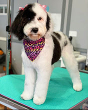 Load image into Gallery viewer, PawMat Anti-Fatigue Reversible Table Mat (Pink/Teal)