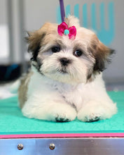 Load image into Gallery viewer, PawMat Anti-Fatigue Reversible Table Mat (Pink/Teal)