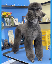 Load image into Gallery viewer, PawMat Anti-Fatigue Reversible Table Mat - Anna Stowell Collaboration (48”x24”)