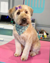 Load image into Gallery viewer, PawMat Anti-Fatigue Reversible Table Mat (Pink/Teal)