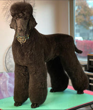 Load image into Gallery viewer, PawMat Anti-Fatigue Reversible Table Mat (Pink/Teal)