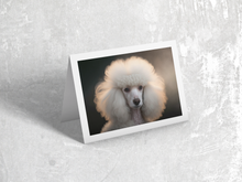 Load image into Gallery viewer, Sun Kissed White Poodle
