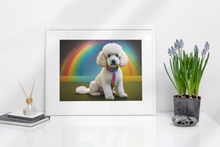 Load image into Gallery viewer, White Doodle Rainbow Collar and Background
