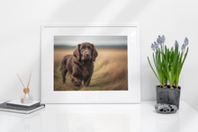 Load image into Gallery viewer, Field Spaniel
