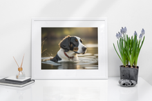 Load image into Gallery viewer, Springer Spaniel Swimming
