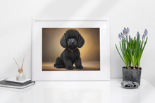 Load image into Gallery viewer, Black Poodle Sitting on Wood Floor
