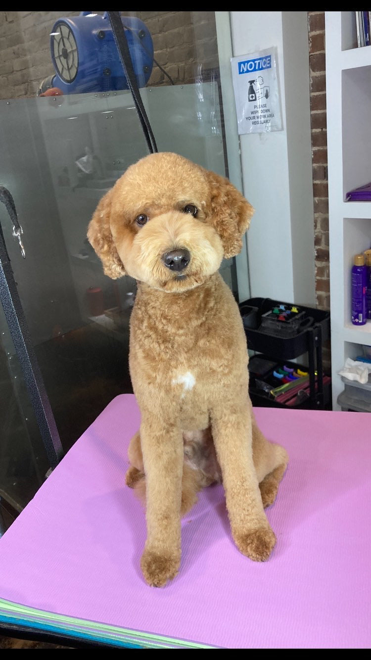 Dog Grooming Table Mat Pad Non Slip Anti-Fatigue Groomer Mat